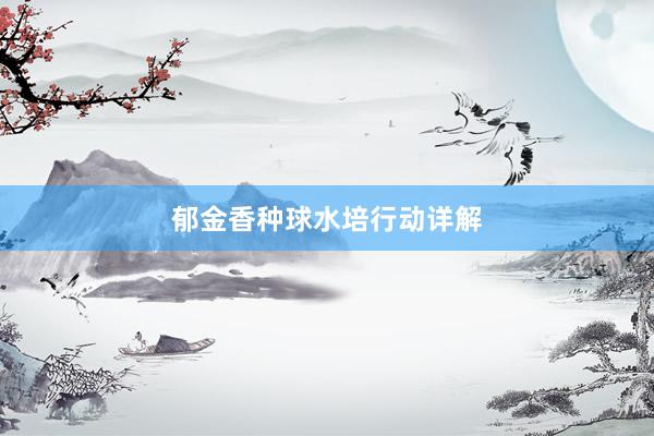 郁金香种球水培行动详解