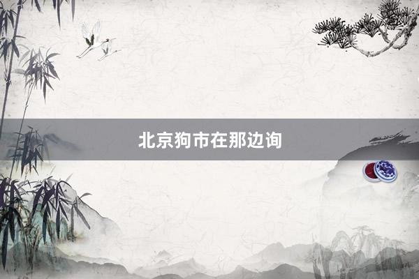 北京狗市在那边询