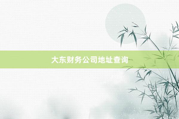 大东财务公司地址查询